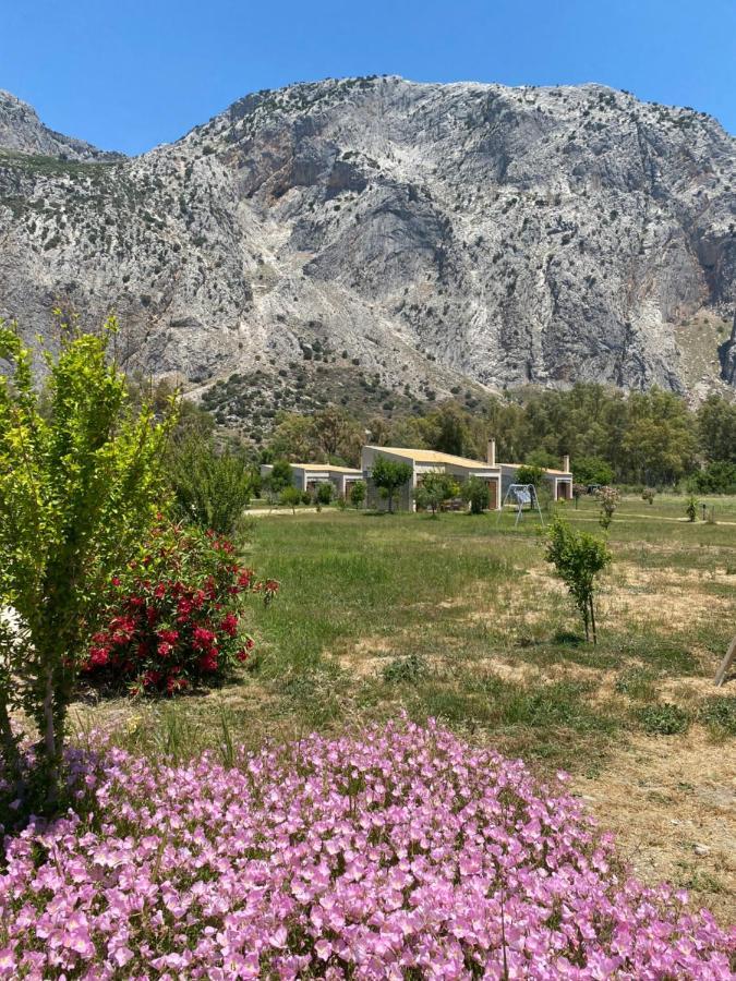 Village